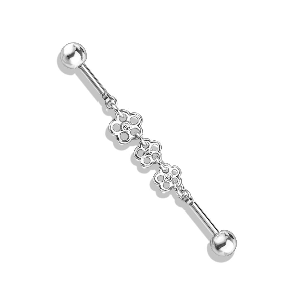 Huntail - Læknastáls brjósklokkar